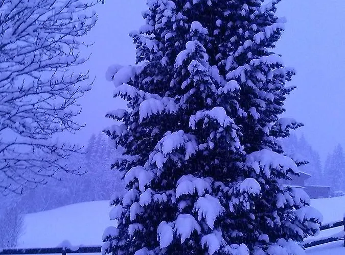 Haus Seiwald * Φλαχάου